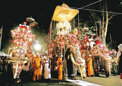 Perahera, Elephant