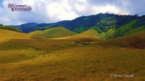 Camping Sites Srilanka